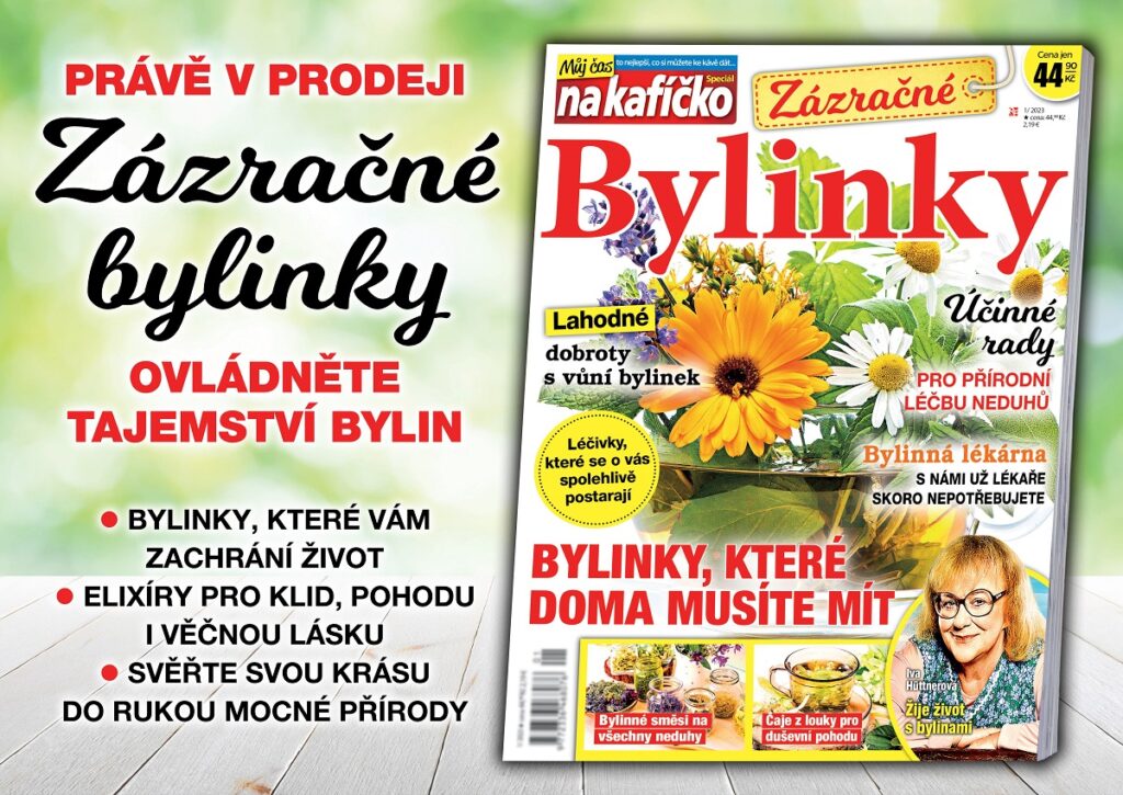 Zázračné bylinky: Svěřte se do péče přírody a uvěřte moudrostem prověřeným staletími!