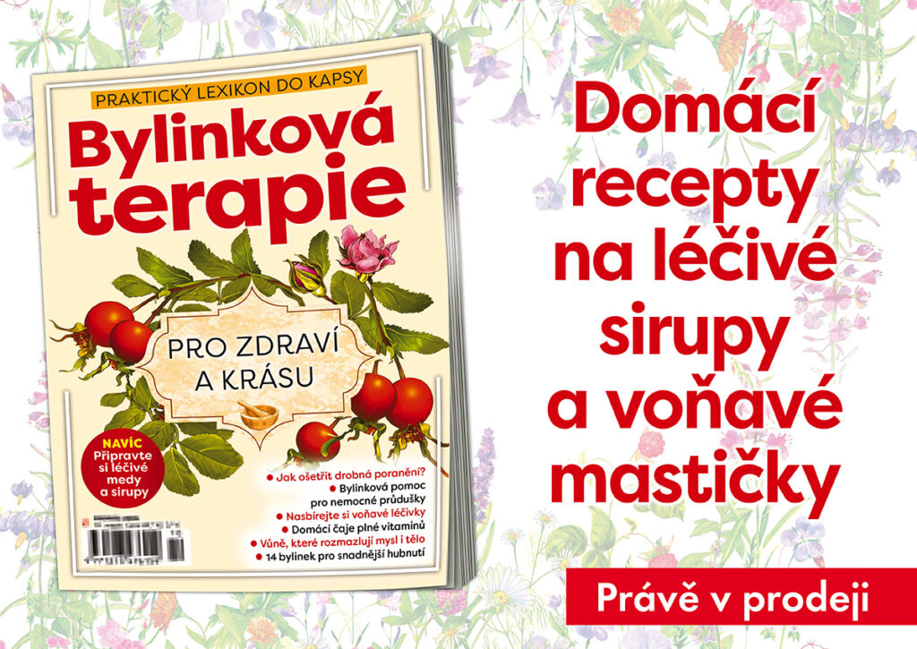 Knihovnička Bylinková terapie pro zdraví a krásu je právě v prodeji!